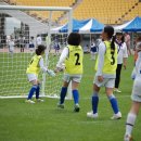 금화초등학교 이미지