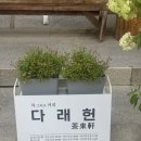 다래헌 | 양양 낙산사 카페 낙산다래헌 후기