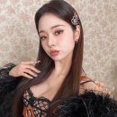 프리지아 이미지