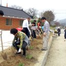 파로호생태마을 이미지