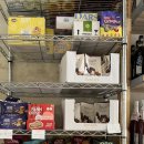 스트롤링 샵(strolling shop) 이미지