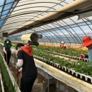 서산시농업기술센터 이미지