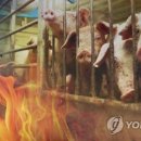 불은축산 이미지