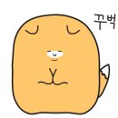 카젠(주안점) 이미지