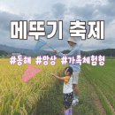 마상천 | [동해] 망상 메뚜기 축제 | 가족체험형 부스 | 아이랑 다녀온 후기 | 채집통 추천