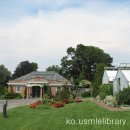 왕기초생활영어 이미지