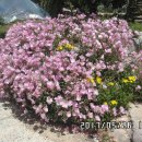 참살이외식 이미지