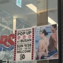 범고래 | [수영] 풀타임 부산 국제 스포츠 클럽 팝업 후기 feat. 범고래 수영복🐬