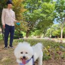 백양동물병원 이미지