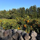 일레인호텔 이미지