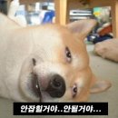 뽑기초보샵 이미지