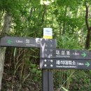 지리산대성골그집 이미지