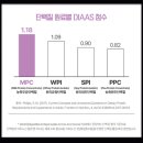 더:단백 드링크 다크초코 후기! 단백질 35g 고함량 프로틴 음료 직접 마셔본 솔직 후기