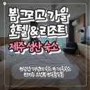 썸무인호텔 B동 | 제주 성산일출봉 숙소 추천｜가성비 오션뷰 봄그리고가을 호텔&amp;리조트 디럭스룸 1박 8만 원 후기