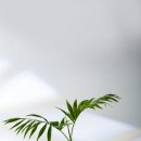 로아르피부과의원 이미지