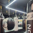 럭셔리복싱클럽 이미지