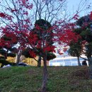 백암온천주유소 이미지