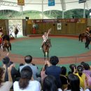 마상공연장 이미지