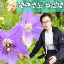 새행복약국 이미지