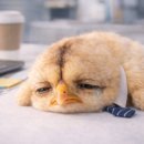 리소스코리아 | [인턴 일기] 쇼피코리아 동남아, 중남미 수출설명회 후기