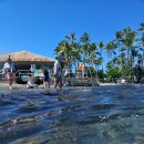 루우루우 | 하와이 빅아일랜드 스노쿨링 스팟 추천 카할루우 비치 주차 거북이