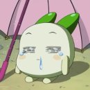 강릉폴게스트하우스 이미지