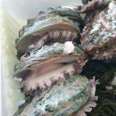 완도건어물 이미지