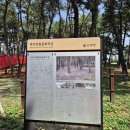장항초등학교 | 충남 서천 맥문동 축제 후기
