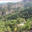 남산농장 이미지