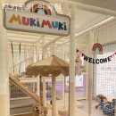 화곡 1-1 공영주차장 이미지