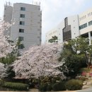 지엔히어링부산