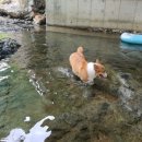 천태산오토캠핑장 이미지
