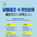 희망담배 이미지