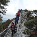 중앙동113 이미지