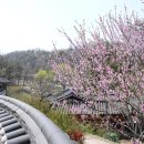 예움터마을 구인당