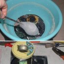 달콤한솜사탕 이미지