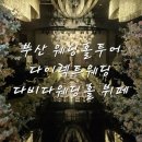 [웨딩2] 다이렉트 웨딩 부산 연산동 다비다 웨딩홀 뷔페 계약 25년 웨딩 견적