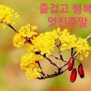 토요일 이미지