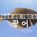 제주광어주식회사 이미지