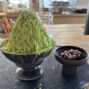 판교 백현동 카페추천 &#34;오브차&#34; 말차빙수,디저트 맛집 솔직후기
