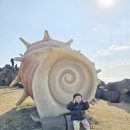 제주여행 제주 돌고래 성지 제주 돌고래 스팟 다녀온후기