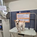 올리스24 두류공원점 이미지