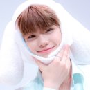 참조아 이미지