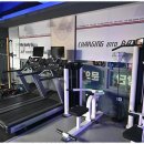 레드윙 복싱 이미지