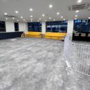 라이프 오브 라일리(Life of Riley) 이미지