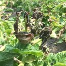 이용식농장 이미지