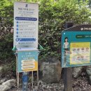 옥성자연휴양림제4주차장 | [옥성자연휴양림] 네트 모험놀이 아이들의 로망 트리하우스, 맘껏 뛰어놀 수 있는 곳(네트 모험 예약...