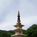 상주 낙화담 소나무 | [ 경북 ] 2018, 문경-상주 … 2. 봉암사 경내