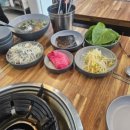 꼬불로꼬불로 쭈꾸미 이미지