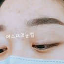 에스더의눈썹